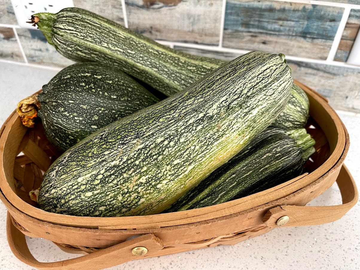 costata romanesco zucchini