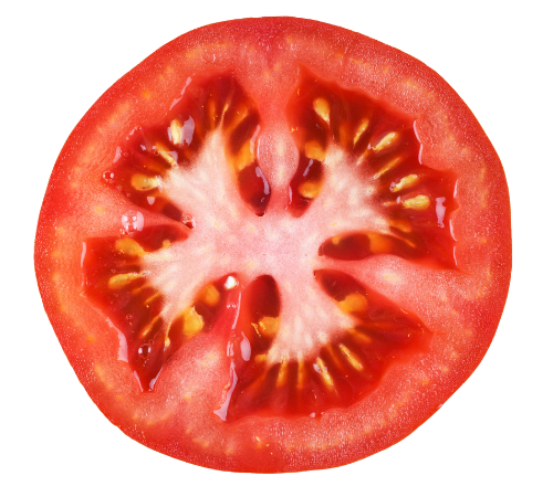 tomato slice